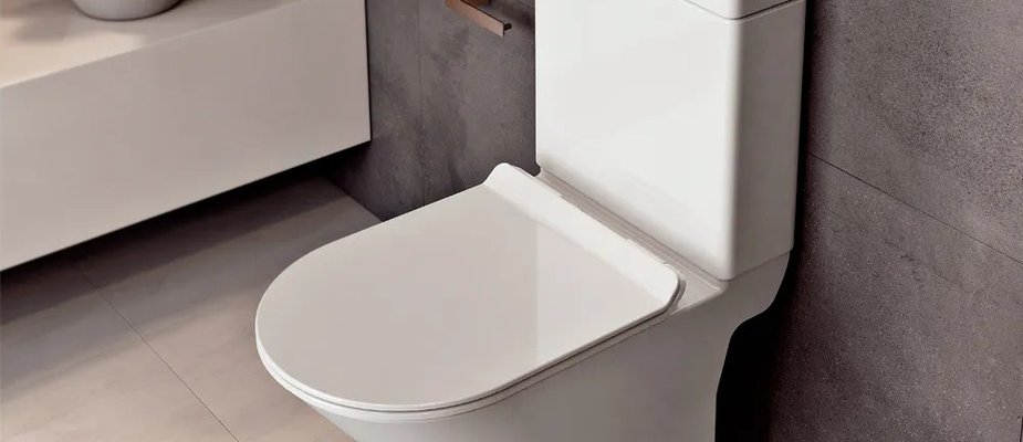 Vaso Sanitário Liss Branco Com Caixa Acoplada